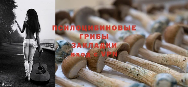 соль ск Алексеевка