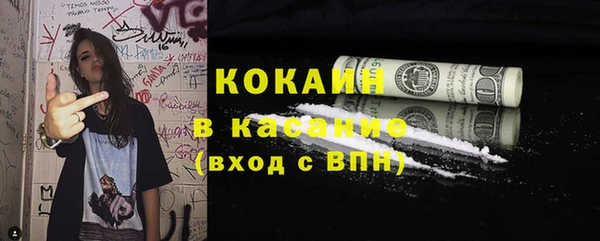 стаф Алексин