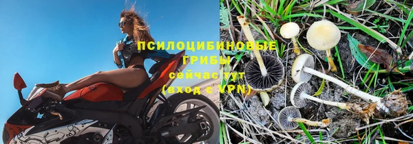 стаф Алексин