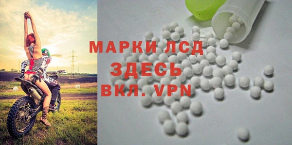 стаф Алексин