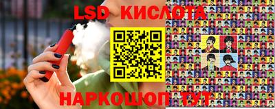 шишки Заволжье
