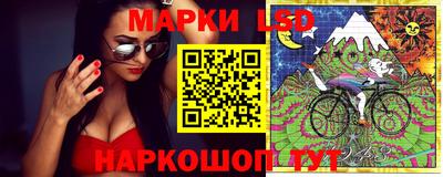 шишки Заволжье