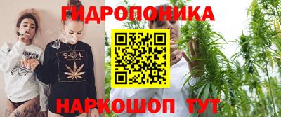 шишки Заволжье