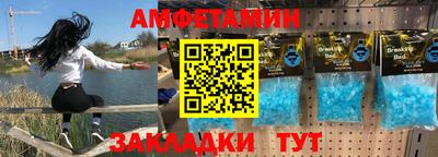 шишки Заволжье