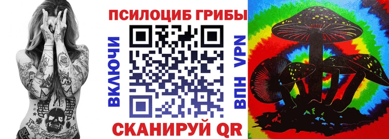 наркотики  Мытищи  мега онион  Псилоцибиновые грибы Psilocybe 