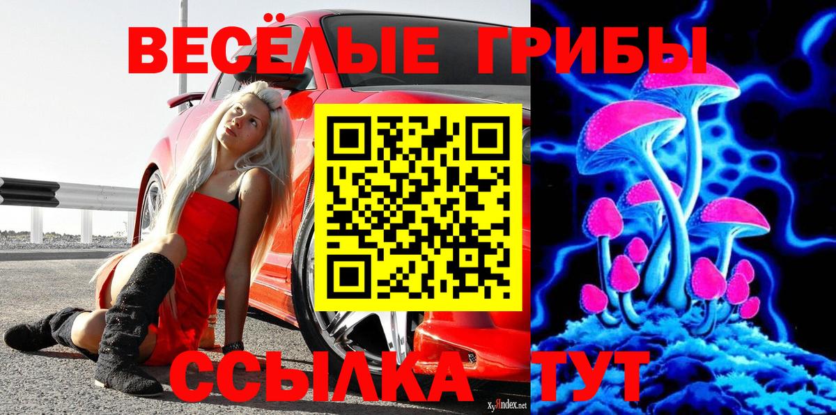 Мытищи  Галлюциногенные грибы Magic Shrooms  закладка  Вход с VPN 